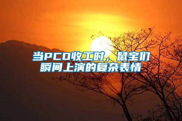 当PCO收工时，鼠宝们瞬间上演的复杂表情