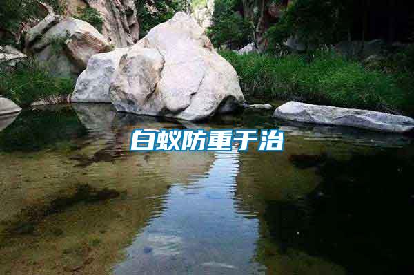 白蚁防重于治