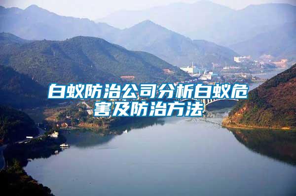 白蚁防治公司分析白蚁危害及防治方法