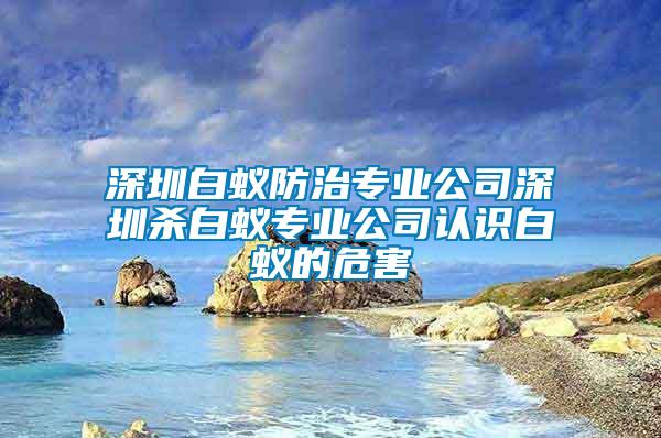 深圳白蚁防治专业公司深圳杀白蚁专业公司认识白蚁的危害