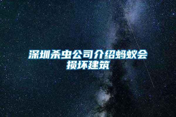 深圳杀虫公司介绍蚂蚁会损坏建筑