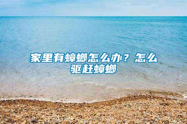 家里有蟑螂怎么办？怎么驱赶蟑螂
