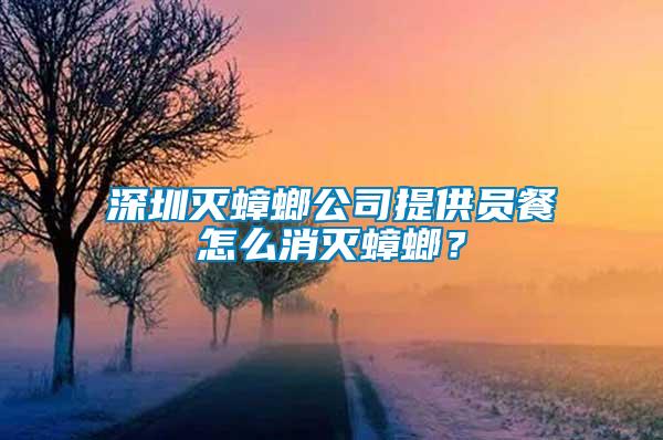 深圳灭蟑螂公司提供员餐怎么消灭蟑螂？