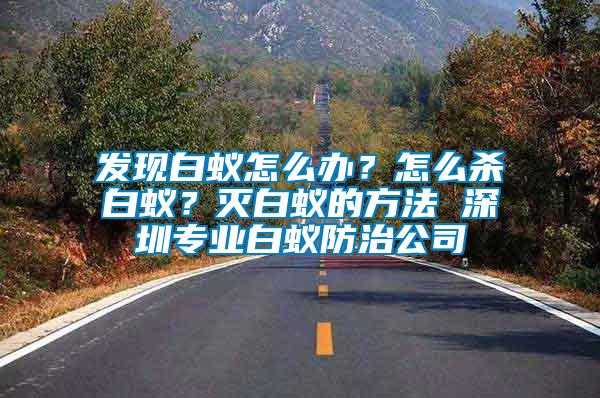 发现白蚁怎么办？怎么杀白蚁？灭白蚁的方法 深圳专业白蚁防治公司