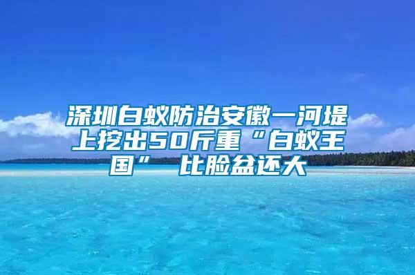 深圳白蚁防治安徽一河堤上挖出50斤重“白蚁王国” 比脸盆还大