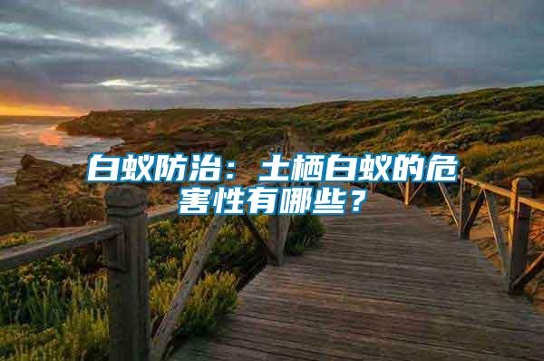 白蚁防治：土栖白蚁的危害性有哪些？