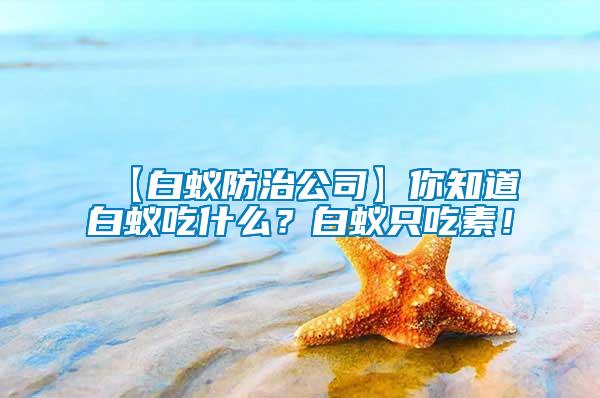 【白蚁防治公司】你知道白蚁吃什么？白蚁只吃素！