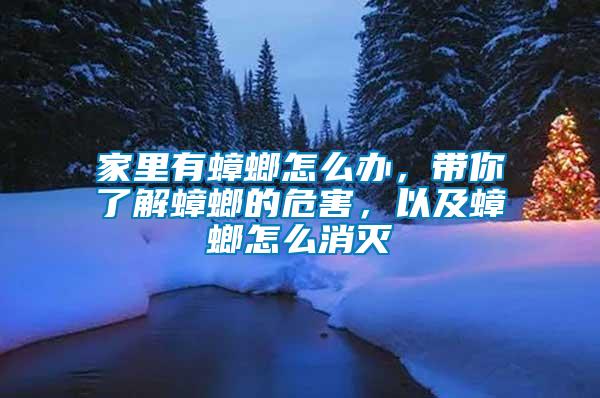 家里有蟑螂怎么办，带你了解蟑螂的危害，以及蟑螂怎么消灭