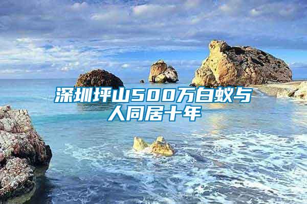 深圳坪山500万白蚁与人同居十年