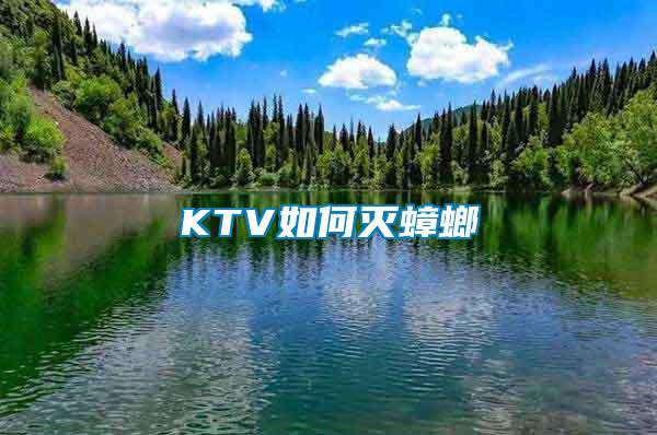 KTV如何灭蟑螂