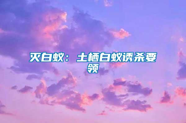 灭白蚁：土栖白蚁诱杀要领