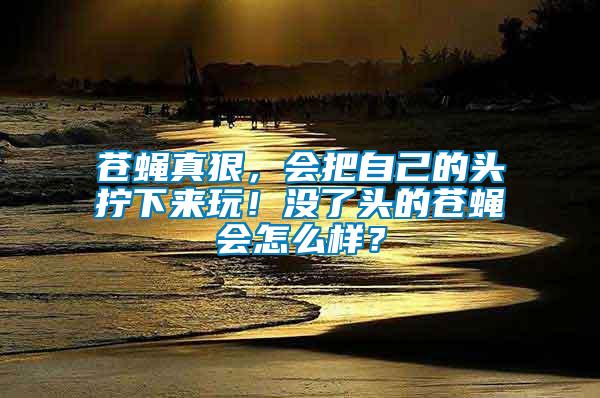 苍蝇真狠，会把自己的头拧下来玩！没了头的苍蝇会怎么样？