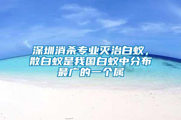 深圳消杀专业灭治白蚁，散白蚁是我国白蚁中分布最广的一个属