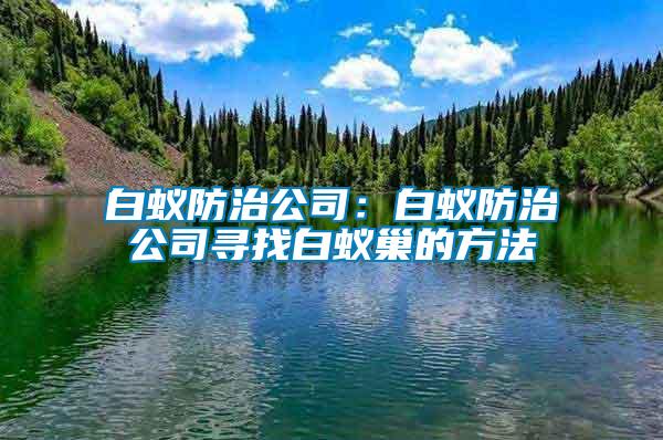 白蚁防治公司：白蚁防治公司寻找白蚁巢的方法