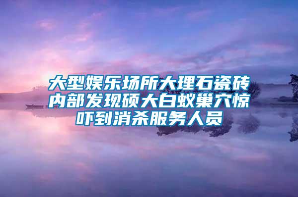 大型娱乐场所大理石瓷砖内部发现硕大白蚁巢穴惊吓到消杀服务人员