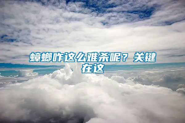 蟑螂咋这么难杀呢？关键在这