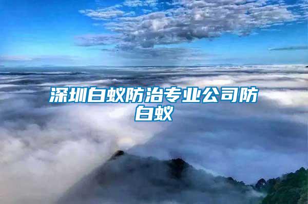 深圳白蚁防治专业公司防白蚁