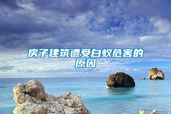 房子建筑遭受白蚁危害的原因