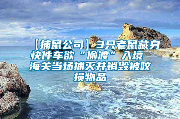 【捕鼠公司】3只老鼠藏身快件车欲“偷渡”入境 海关当场捕灭并销毁被咬损物品