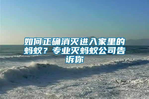 如何正确消灭进入家里的蚂蚁？专业灭蚂蚁公司告诉你