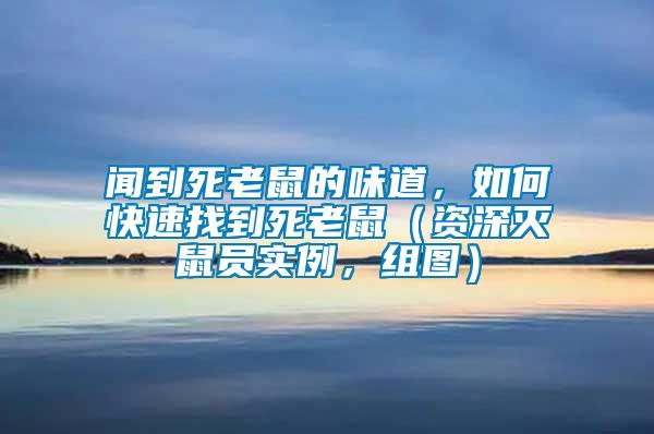 闻到死老鼠的味道，如何快速找到死老鼠（资深灭鼠员实例，组图）