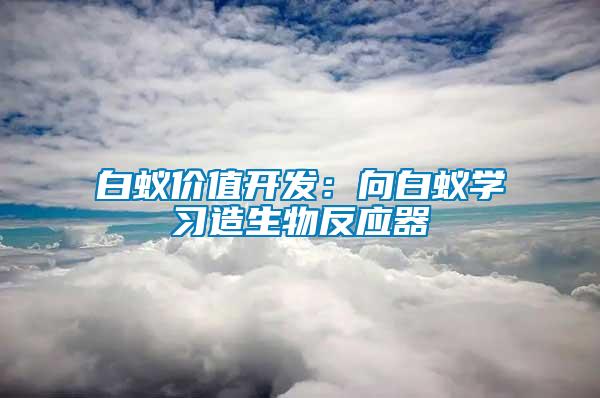 白蚁价值开发：向白蚁学习造生物反应器