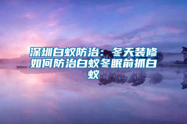 深圳白蚁防治：冬天装修如何防治白蚁冬眠前抓白蚁