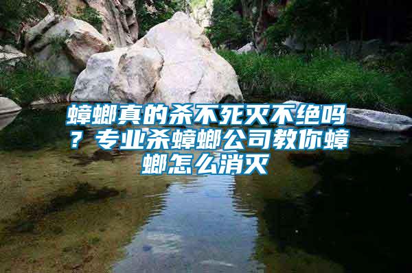 蟑螂真的杀不死灭不绝吗？专业杀蟑螂公司教你蟑螂怎么消灭