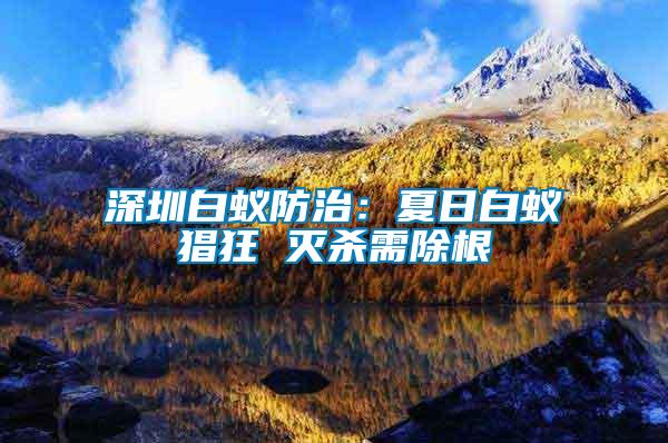 深圳白蚁防治：夏日白蚁猖狂 灭杀需除根