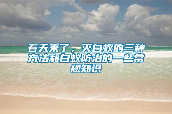 春天来了，灭白蚁的三种方法和白蚁防治的一些常规知识