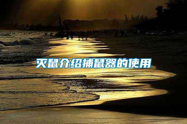 灭鼠介绍捕鼠器的使用