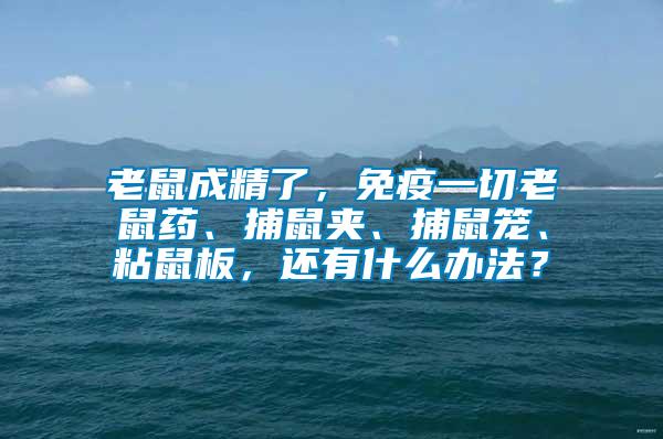 老鼠成精了，免疫一切老鼠药、捕鼠夹、捕鼠笼、粘鼠板，还有什么办法？