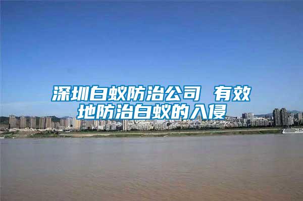 深圳白蚁防治公司 有效地防治白蚁的入侵