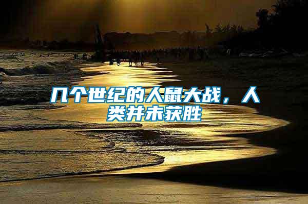 几个世纪的人鼠大战，人类并未获胜
