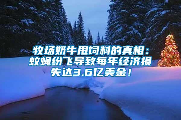 牧场奶牛甩饲料的真相：蚊蝇纷飞导致每年经济损失达3.6亿美金！