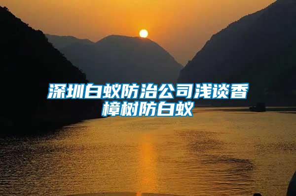 深圳白蚁防治公司浅谈香樟树防白蚁