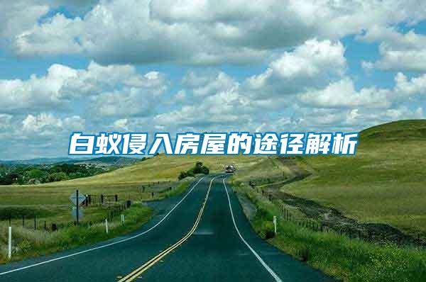 白蚁侵入房屋的途径解析