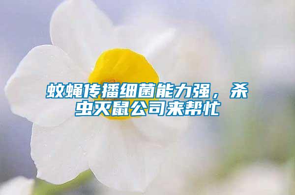 蚊蝇传播细菌能力强，杀虫灭鼠公司来帮忙