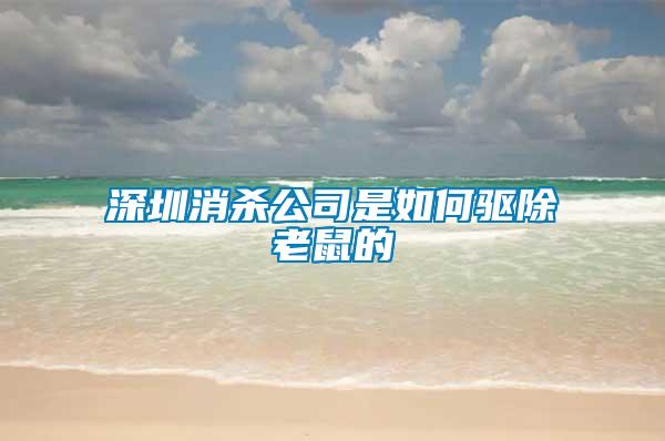 深圳消杀公司是如何驱除老鼠的