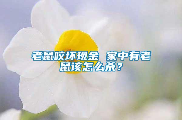 老鼠咬坏现金 家中有老鼠该怎么杀？