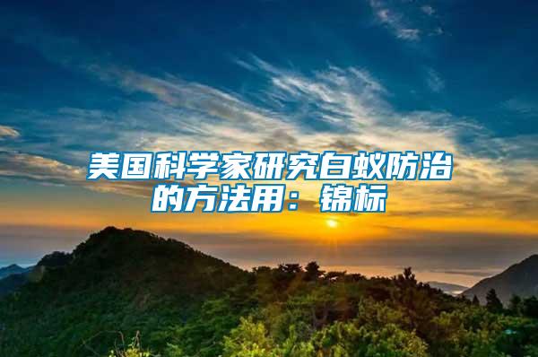 美国科学家研究白蚁防治的方法用：锦标