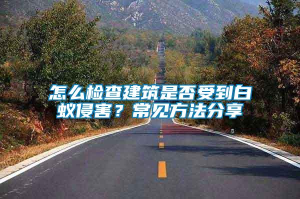 怎么检查建筑是否受到白蚁侵害？常见方法分享