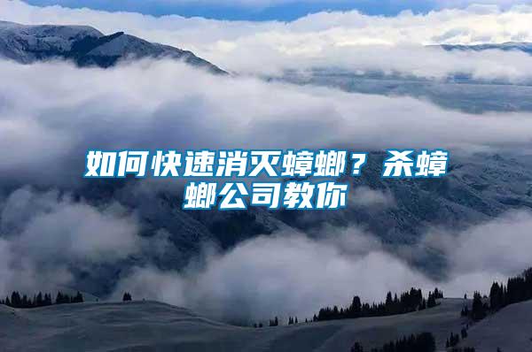 如何快速消灭蟑螂？杀蟑螂公司教你