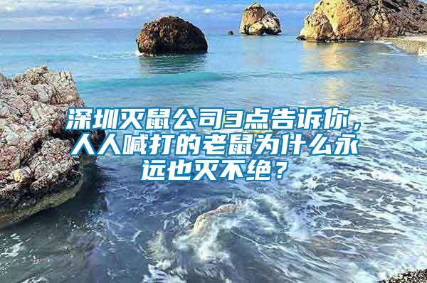 深圳灭鼠公司3点告诉你，人人喊打的老鼠为什么永远也灭不绝？