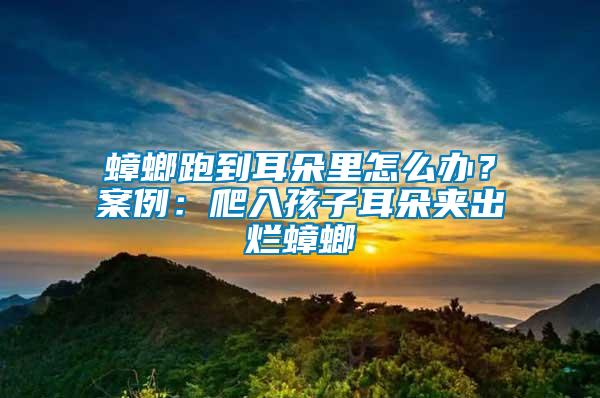 蟑螂跑到耳朵里怎么办？案例：爬入孩子耳朵夹出烂蟑螂