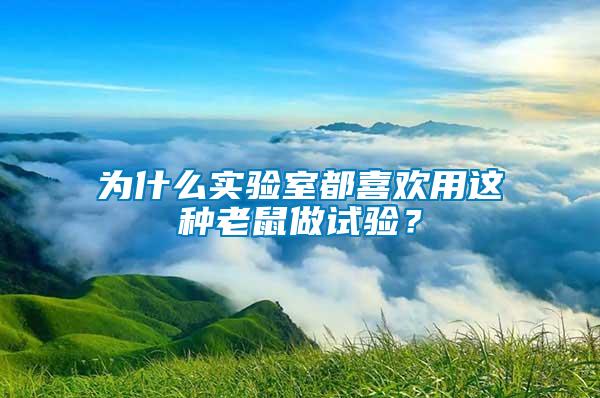 为什么实验室都喜欢用这种老鼠做试验？