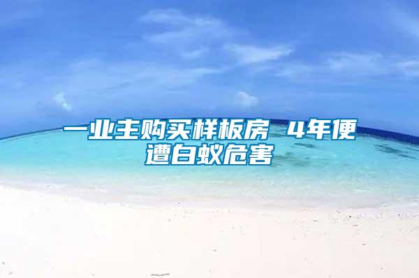 一业主购买样板房 4年便遭白蚁危害