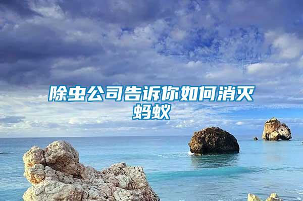 除虫公司告诉你如何消灭蚂蚁