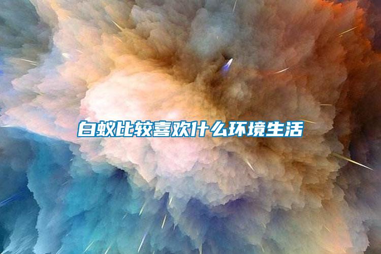 白蚁比较喜欢什么环境生活