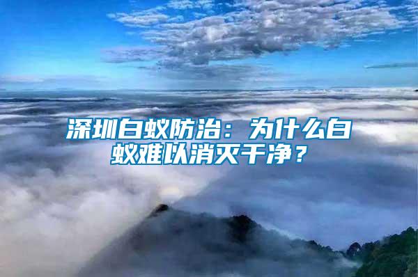 深圳白蚁防治：为什么白蚁难以消灭干净？